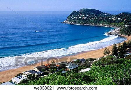 Whale beach in Sydney. New South Wales. Australia. View Large Photo Image Stock Image - Whale beach in Sydney. New South Wales. Australia.. Fotosearch