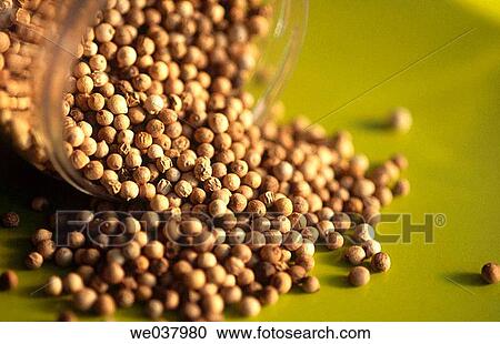 White pepper View Large Photo Image Stock Image - White pepper. Fotosearch