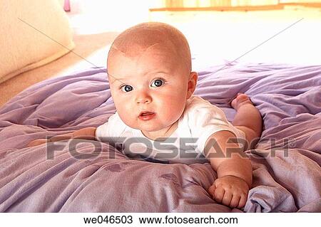 5 month old baby lying on his tummy lifting up his head looking into camera View Large Photo Image Stock Image - 5 month old baby lying on his tummy lifting up his head looking into camera. Fotosearch