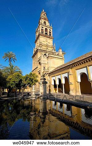 Alminar Tower, once minaret of Great Mosque of Cordoba, seen from the Patio de los Naranjos. Andalusia, Spain View Large Photo Image Stock Photo - Alminar Tower, once minaret of Great Mosque of Cordoba, seen from the Patio de los Naranjos. Andalusia, Spain. Fotosearch