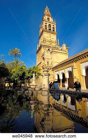 Alminar Tower, once minaret of Great Mosque of Cordoba, seen from the Patio de los Naranjos. Andalusia, Spain View Large Photo Image Stock Photo - Alminar Tower, once minaret of Great Mosque of Cordoba, seen from the Patio de los Naranjos. Andalusia, Spain. Fotosearch