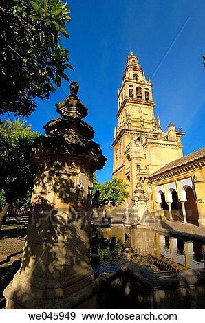 Alminar Tower, once minaret of Great Mosque of Cordoba, seen from the Patio de los Naranjos. Andalusia, Spain View Large Photo Image Stock Photo - Alminar Tower, once minaret of Great Mosque of Cordoba, seen from the Patio de los Naranjos. Andalusia, Spain. Fotosearch
