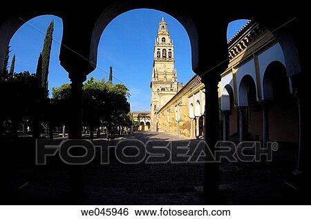 Alminar Tower, once minaret of Great Mosque of Cordoba, seen from the Patio de los Naranjos. Andalusia, Spain View Large Photo Image Stock Photograph - Alminar Tower, once minaret of Great Mosque of Cordoba, seen from the Patio de los Naranjos. Andalusia, Spain. Fotosearch
