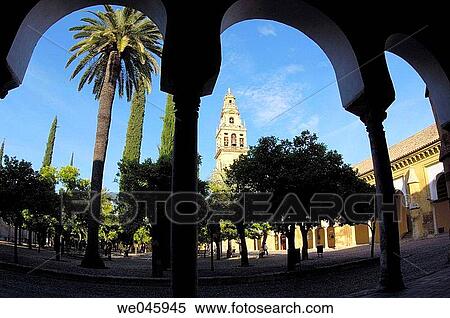 Alminar Tower, once minaret of Great Mosque of Cordoba, seen from the Patio de los Naranjos. Andalusia, Spain View Large Photo Image Stock Photography - Alminar Tower, once minaret of Great Mosque of Cordoba, seen from the Patio de los Naranjos. Andalusia, Spain. Fotosearch