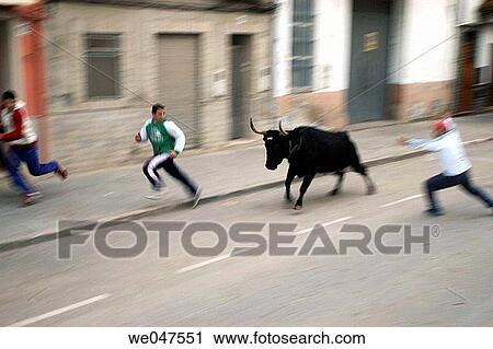 Animal abuse, bull, building, blurred motion, animal View Large Photo Image Stock Image - Animal abuse, bull, building, blurred motion, animal. Fotosearch