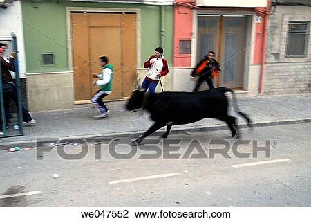 Stock Image - Animal abuse, bull, building, blurred motion, animal. Fotosearch