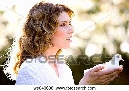 animal, bird, 20's View Large Photo Image Stock Photograph - animal, bird, 20's. Fotosearch