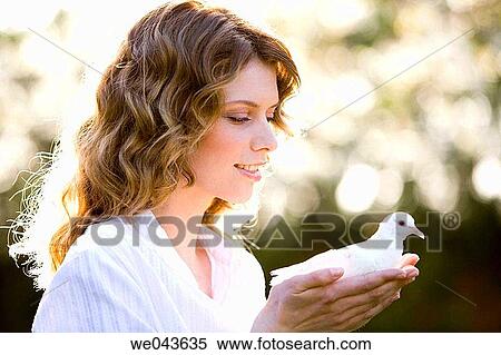 animal, bird, 20's View Large Photo Image Stock Photography - animal, bird, 20's. Fotosearch