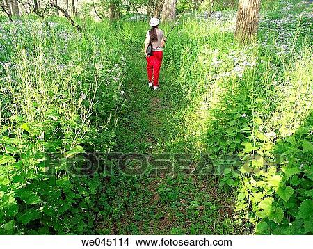 back view, calm, contemporary, country View Large Photo Image Picture - back view, calm, contemporary, country. Fotosearch