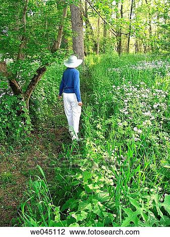 Stock Image - back view, calm, contemporary, country. Fotosearch