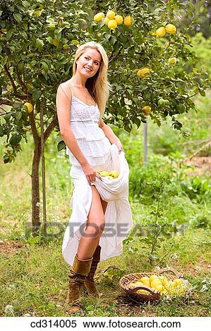 Stock Photography - basket, blond, agriculture. Fotosearch