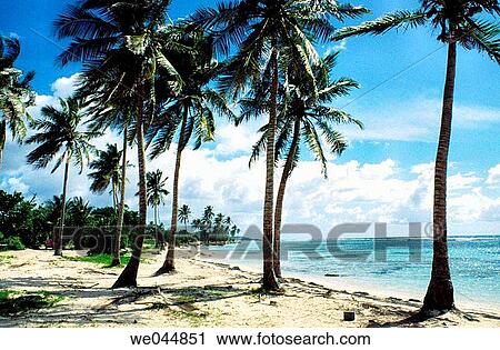 Beach, Deshaies, Basse Terre. Guadeloupe, Caribbean, France View Large Photo Image Stock Image - Beach, Deshaies, Basse Terre. Guadeloupe, Caribbean, France. Fotosearch