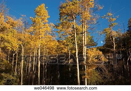 Stock Photo - Big Tesuque. Santa Fe. New Mexico. USA.. Fotosearch