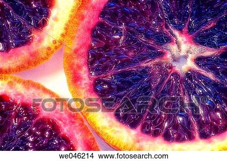 Blood Orange Sliced. Citrus sinensis osbeck. March 2005, Maryland, USA View Large Photo Image Picture - Blood Orange Sliced. Citrus sinensis osbeck. March 2005, Maryland, USA. Fotosearch
