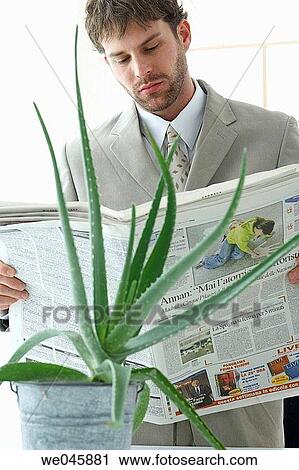 Stock Image - business, businesspeople, businessman, aloe. Fotosearch