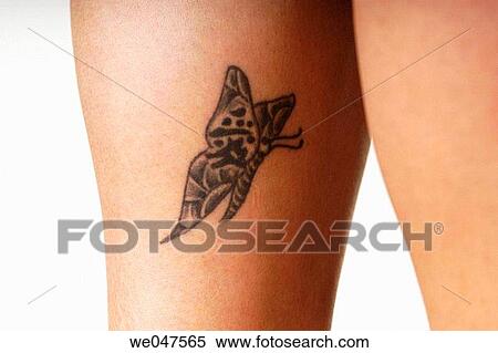 Butterfly, detail, contemporary, anonymous View Large Photo Image Stock Photography - Butterfly, detail, contemporary, anonymous. Fotosearch