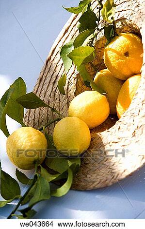 Citrus fruit, Close-up, day, food, fruit View Large Photo Image Picture - Citrus fruit, Close-up, day, food, fruit. Fotosearch
