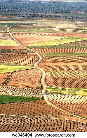 Picture - Country landscape near Consuegra. Toledo province, Castilla- la Mancha, Spain.. Fotosearch