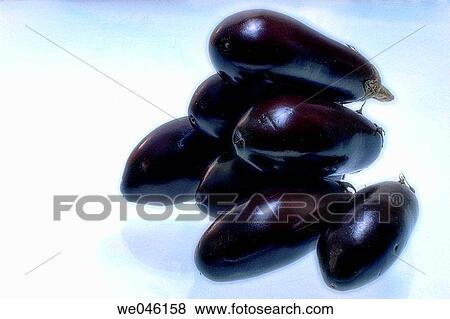 Eggplants. Solanum melongena. February 2005, Maryland, USA View Large Photo Image Stock Photo - Eggplants. Solanum melongena. February 2005, Maryland, USA. Fotosearch