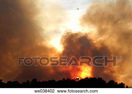 Forest fire. View Large Photo Image Stock Image - Forest fire.. Fotosearch