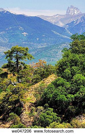 Forest. Pic du Midi d? Ossau. San Juan de la Pe±a Natural Monument, Huesca province. Spain View Large Photo Image Stock Photograph - Forest. Pic du Midi d? Ossau. San Juan de la Pe±a Natural Monument, Huesca province. Spain. Fotosearch