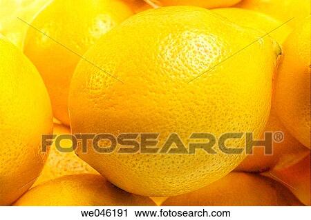 Stock Image - Fresh Ripe Lemons. Citrus limonum. December 2004, Maryland, USA. Fotosearch