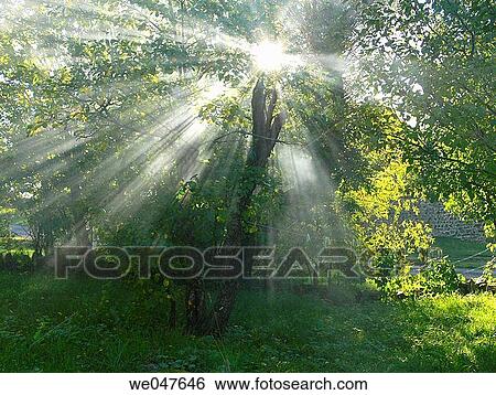 Haute Loire. France. View Large Photo Image Stock Photograph - Haute Loire. France.. Fotosearch