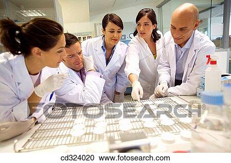 Stock Image - Inasmet-Tecnalia Foundation, Technology and Research Centre, San Sebastian Technological Park, Basque Country. Testing antibacterial materials, microbiology lab. Fotosearch