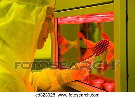 Inasmet-Tecnalia Foundation, Technology and Research Centre, San Sebastian Technological Park, Basque Country. Final wafer in infrared dryer, integrated circuits manufacture, photolithography room, clean room View Large Photo Image Stock Photo - Inasmet-Tecnalia Foundation, Technology and Research Centre, San Sebastian Technological Park, Basque Country. Final wafer in infrared dryer, integrated circuits manufacture, photolithography room, clean room. Fotosearch