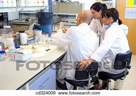 Inasmet-Tecnalia Foundation, Technology and Research Centre, San Sebastian Technological Park, Basque Country. Chemists with Petri dishes, microbiology lab View Large Photo Image Stock Photo - Inasmet-Tecnalia Foundation, Technology and Research Centre, San Sebastian Technological Park, Basque Country. Chemists with Petri dishes, microbiology lab. Fotosearch