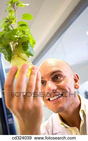 Inasmet-Tecnalia Foundation, Technology and Research Centre, San Sebastian Technological Park, Basque Country. Hydroponic crops, organic chemistry lab View Large Photo Image Stock Photo - Inasmet-Tecnalia Foundation, Technology and Research Centre, San Sebastian Technological Park, Basque Country. Hydroponic crops, organic chemistry lab. Fotosearch