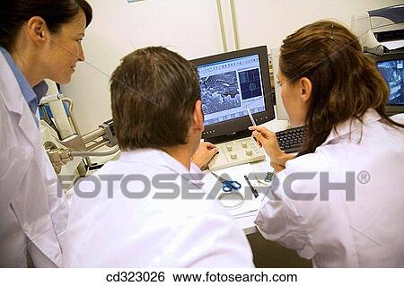 Inasmet-Tecnalia Foundation, Technology and Research Centre, San Sebastian Technological Park, Basque Country. Scanning Electron Microscope, JEOL JSM-5910LV, micrographies View Large Photo Image Stock Photograph - Inasmet-Tecnalia Foundation, Technology and Research Centre, San Sebastian Technological Park, Basque Country. Scanning Electron Microscope, JEOL JSM-5910LV, micrographies. Fotosearch