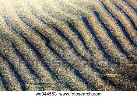 Patterns in the sand dunes of Isla Magdalena on the Pacific side of the Baja Peninsula, Mexico. View Large Photo Image Stock Image - Patterns in the sand dunes of Isla Magdalena on the Pacific side of the Baja Peninsula, Mexico.. Fotosearch