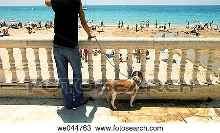 Playa de Poniente, Benidorm. Alicante province, Comunidad Valenciana, Spain View Large Photo Image Stock Image - Playa de Poniente, Benidorm. Alicante province, Comunidad Valenciana, Spain. Fotosearch