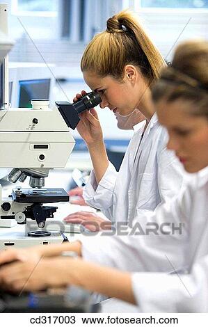 Stock Image - Polytechnic School, University of the Basque Country, Donostia. Confocal Laser Scanning Microscope, Leica DM RXE TCS-SP2. Lab of Chemical Industry and Electrochemical Engineering, Fundamental Chemistry, Dept. of Chemical Engineering and Environment. Fotosearch