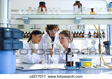 Stock Photo - Polytechnic School, University of the Basque Country, Donostia, Gipuzkoa, Basque Country. Students, Lab of Chemical Industry and Electrochemical Engineering, Fundamental Chemistry, Department of Chemical Engineering and Environment. Fotosearch