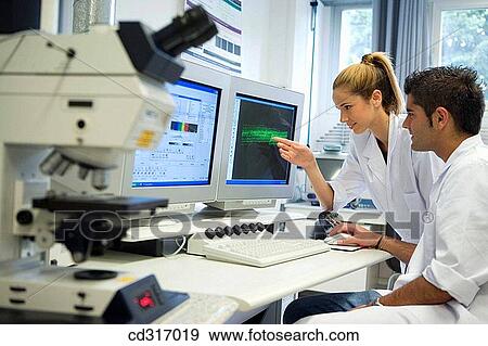 Stock Photo - Polytechnic School, University of the Basque Country, Donostia. Confocal Laser Scanning Microscope, Leica DM RXE TCS-SP2. Lab of Chemical Industry and Electrochemical Engineering, Fundamental Chemistry, Dept. of Chemical Engineering and Environment. Fotosearch
