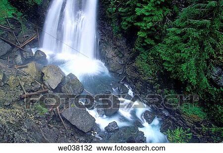 Rainforest and waterfall. Strathcona Provincial Park. Vancouver Island, British Columbia. Canada View Large Photo Image Stock Image - Rainforest and waterfall. Strathcona Provincial Park. Vancouver Island, British Columbia. Canada. Fotosearch