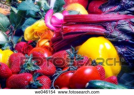 Roses (rosa hybrid), pepper (Capsicum annum), Tomatoes (Solanum lycopersicon), Apples (Malus domestica), Squash (cucurbita pepo), beets (Beta vulgaris), Strawberry (fragaria vesca). February 2005, Maryland, USA View Large Photo Image Picture - Roses (rosa hybrid), pepper (Capsicum annum), Tomatoes (Solanum lycopersicon), Apples (Malus domestica), Squash (cucurbita pepo), beets (Beta vulgaris), Strawberry (fragaria vesca). February 2005, Maryland, USA. Fotosearch