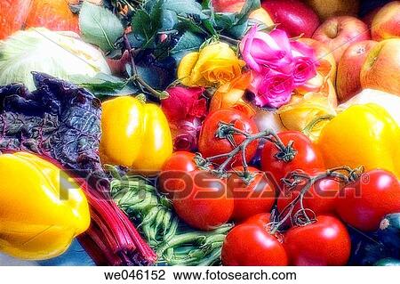 Stock Image - Roses (Rosa hybrid), pepper (Capsicum annum), cabbage (Brassica oleracea), Tomatoes (Solanum lycopersicon), Apples (Malus domestica), beets (Beta vulgaris ), Peas (pisum sativum). February 2005, Maryland, USA. Fotosearch