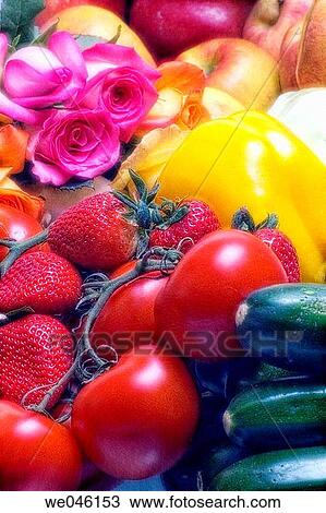 Roses (rosa hybrid), pepper (Capsicum annum), Tomatoes (Solanum lycopersicon), Apples (Malus domestica), Squash(cucurbita pepo), Strawberry(fragaria vesca). February 2005, Maryland, USA View Large Photo Image Stock Image - Roses (rosa hybrid), pepper (Capsicum annum), Tomatoes (Solanum lycopersicon), Apples (Malus domestica), Squash(cucurbita pepo), Strawberry(fragaria vesca). February 2005, Maryland, USA. Fotosearch