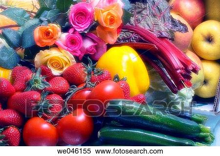 Roses (rosa hybrid), pepper (Capsicum annum), Tomatoes (Solanum lycopersicon), Apples (Malus domestica), Squash (cucurbita pepo), beets (Beta vulgaris), Strawberry (fragaria vesca). February 2005, Maryland, USA View Large Photo Image Stock Photography - Roses (rosa hybrid), pepper (Capsicum annum), Tomatoes (Solanum lycopersicon), Apples (Malus domestica), Squash (cucurbita pepo), beets (Beta vulgaris), Strawberry (fragaria vesca). February 2005, Maryland, USA. Fotosearch