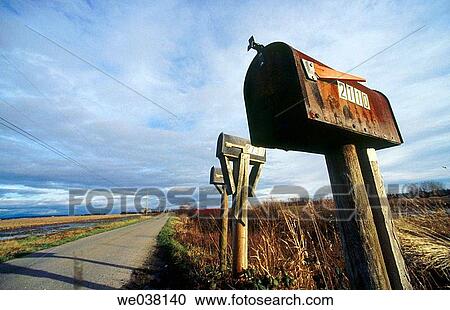 Rural mailboxes on narrow country road in Tsawassen, British Columbia, Canada View Large Photo Image Stock Image - Rural mailboxes on narrow country road in Tsawassen, British Columbia, Canada. Fotosearch