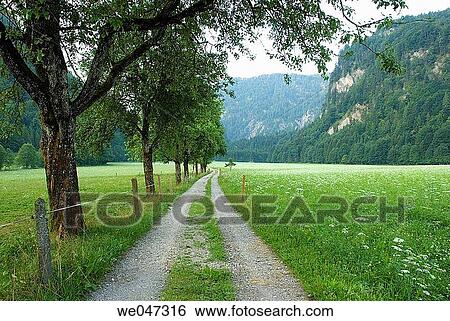 Rural path in the Giesener valley Tirol Austria on an early morning. View Large Photo Image Stock Photograph - Rural path in the Giesener valley Tirol Austria on an early morning.. Fotosearch