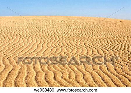 Sand waves dunes of Corralejo, Fuerteventura, Canary Islands View Large Photo Image Stock Image - Sand waves dunes of Corralejo, Fuerteventura, Canary Islands. Fotosearch