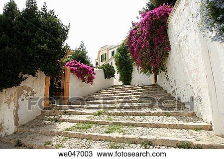 Street, Ibiza. Balearic Islands, Spain View Large Photo Image Stock Image - Street, Ibiza. Balearic Islands, Spain. Fotosearch