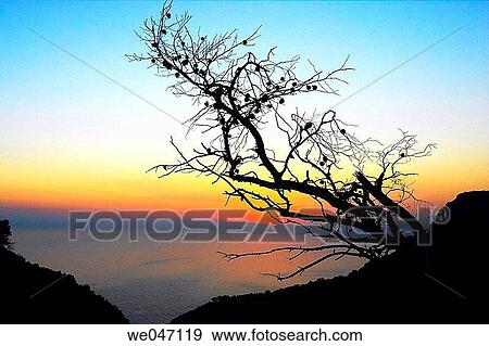 Sunset at Costa del Sol. Andalusia, Spain View Large Photo Image Stock Photo - Sunset at Costa del Sol. Andalusia, Spain. Fotosearch