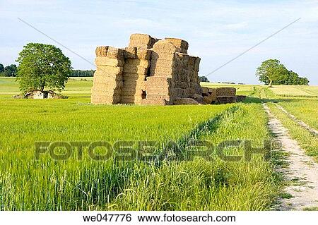 Val de Loire. France. View Large Photo Image Stock Photograph - Val de Loire. France.. Fotosearch