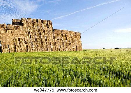 Val de Loire. France. View Large Photo Image Stock Photography - Val de Loire. France.. Fotosearch