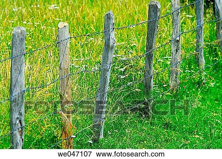 Stock Photo - Wooden fence with barbed wire. Fotosearch